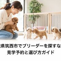 画像7111