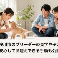 画像7133