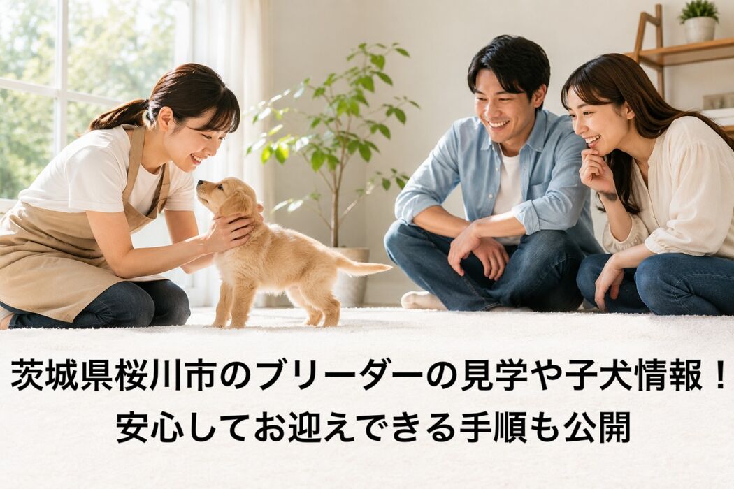画像7133