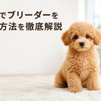 画像7155