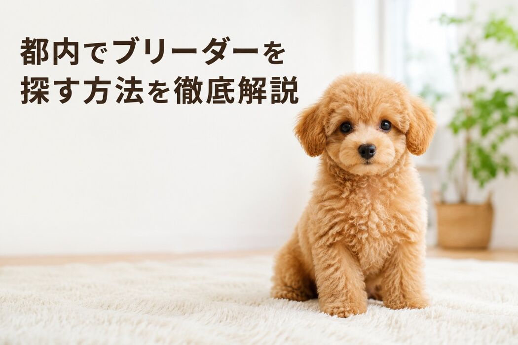 画像7155
