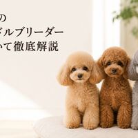 画像7167