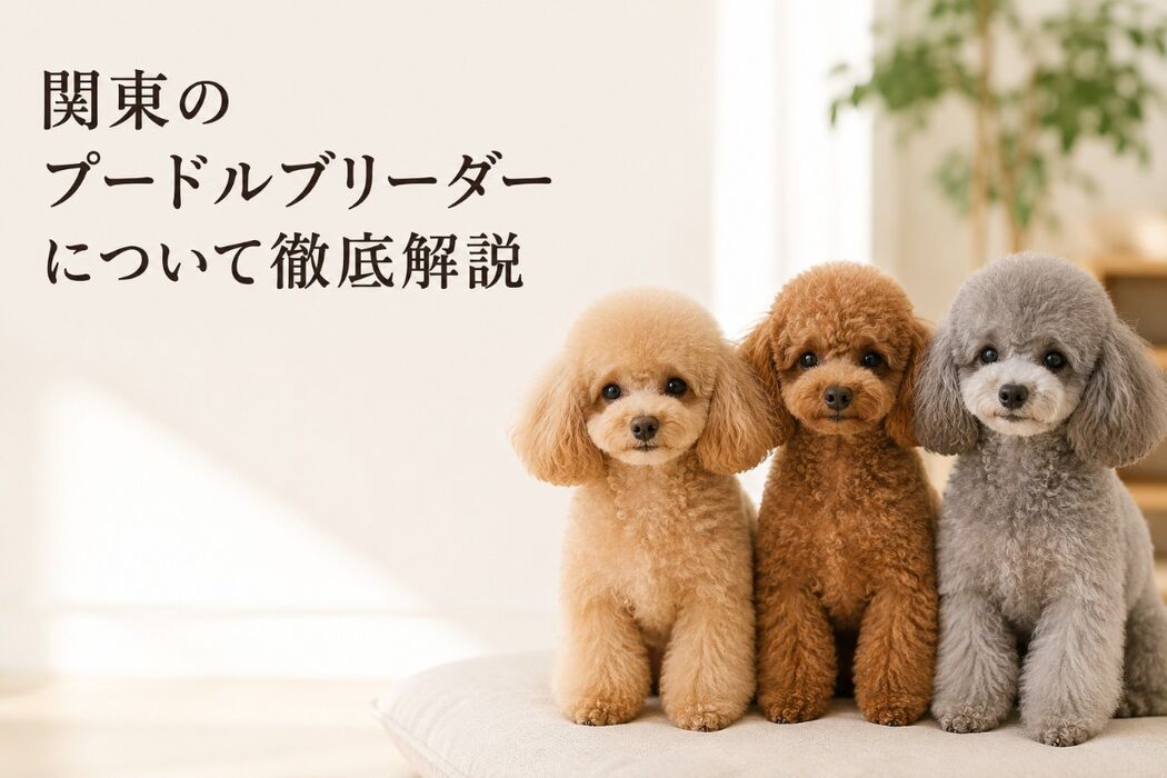 画像7167