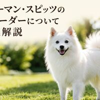 画像7177