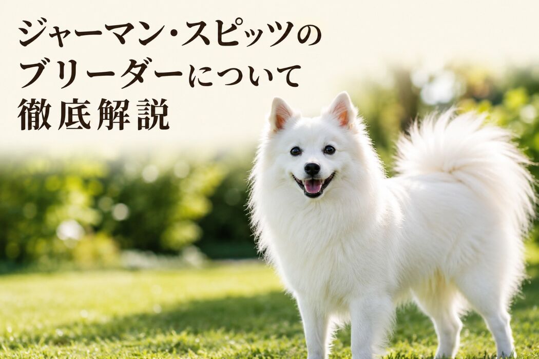 画像7177