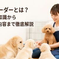 画像7189