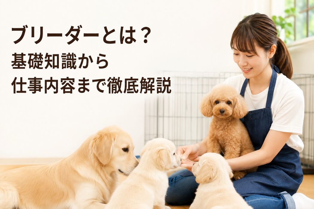 画像7189