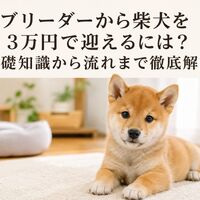 画像7199
