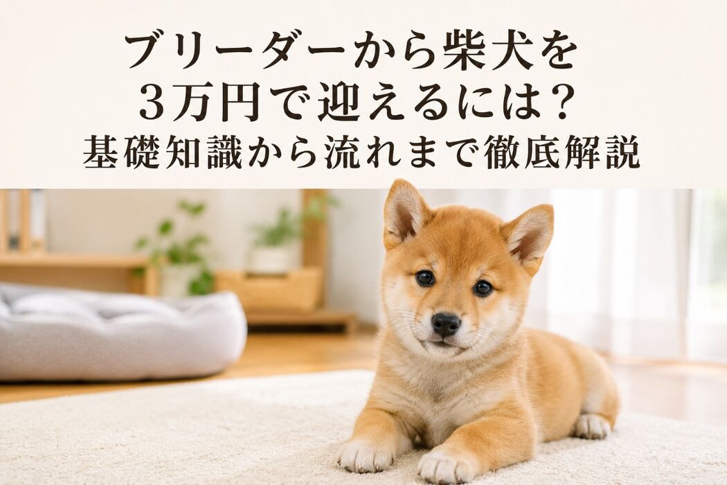 画像7199