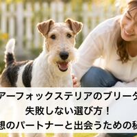 画像7225