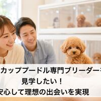 画像7237