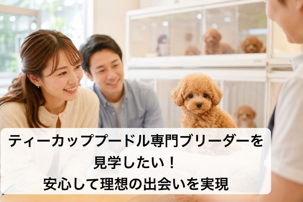 画像7237