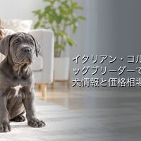 画像7300