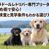 画像7323