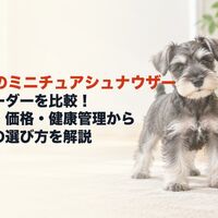 画像7345