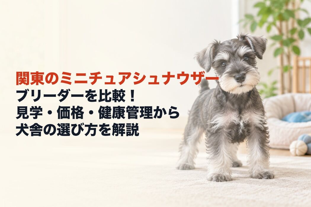 画像7345