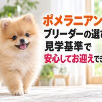 画像7369