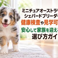 画像7379