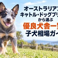 画像7389